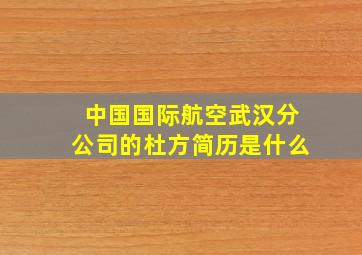 中国国际航空武汉分公司的杜方简历是什么