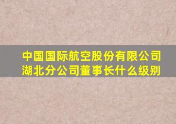 中国国际航空股份有限公司湖北分公司董事长什么级别