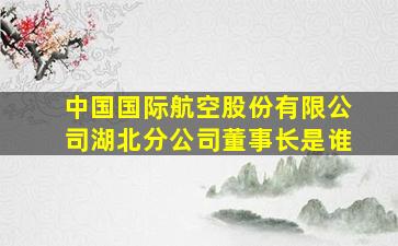 中国国际航空股份有限公司湖北分公司董事长是谁