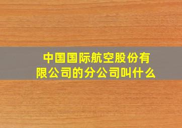 中国国际航空股份有限公司的分公司叫什么