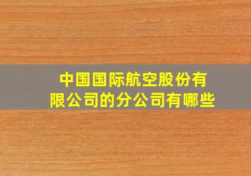 中国国际航空股份有限公司的分公司有哪些