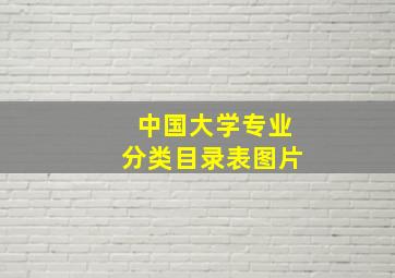 中国大学专业分类目录表图片