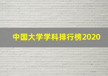 中国大学学科排行榜2020