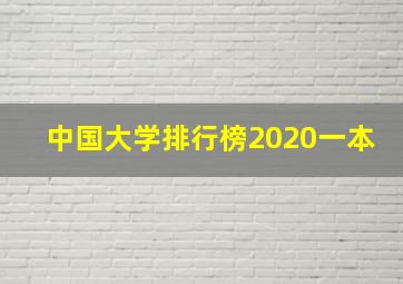 中国大学排行榜2020一本