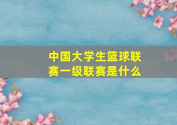 中国大学生篮球联赛一级联赛是什么