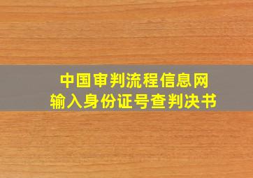 中国审判流程信息网输入身份证号查判决书