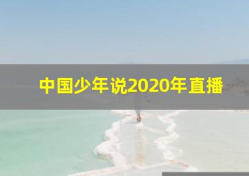 中国少年说2020年直播