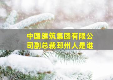 中国建筑集团有限公司副总裁邳州人是谁