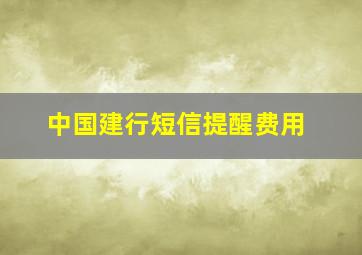 中国建行短信提醒费用