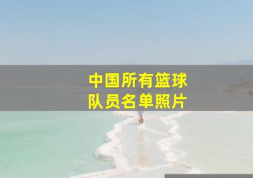 中国所有篮球队员名单照片