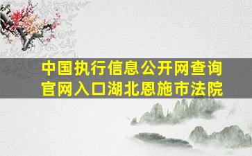 中国执行信息公开网查询官网入口湖北恩施市法院