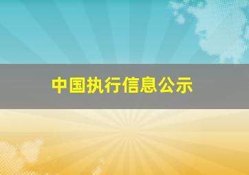 中国执行信息公示