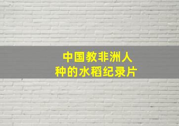 中国教非洲人种的水稻纪录片