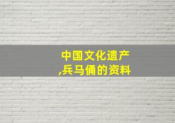 中国文化遗产,兵马俑的资料