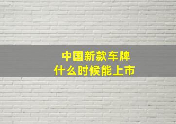 中国新款车牌什么时候能上市