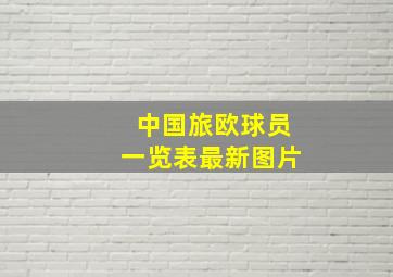 中国旅欧球员一览表最新图片