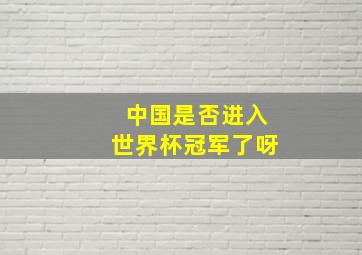 中国是否进入世界杯冠军了呀