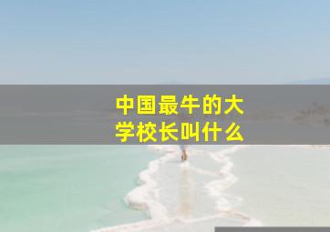 中国最牛的大学校长叫什么