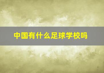 中国有什么足球学校吗