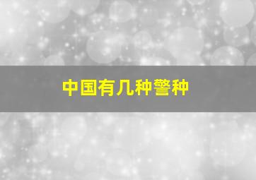 中国有几种警种