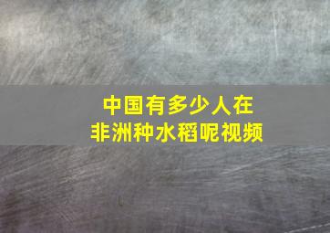 中国有多少人在非洲种水稻呢视频