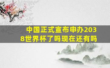 中国正式宣布申办2038世界杯了吗现在还有吗