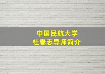 中国民航大学杜春志导师简介