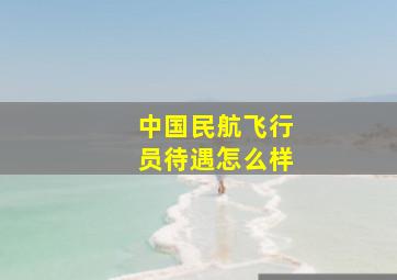 中国民航飞行员待遇怎么样