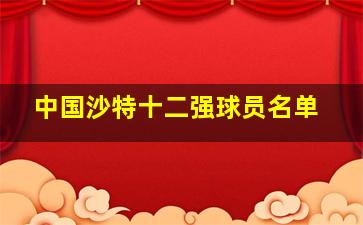 中国沙特十二强球员名单