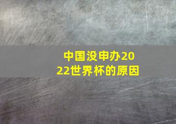 中国没申办2022世界杯的原因