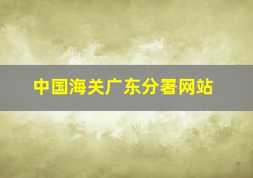 中国海关广东分署网站