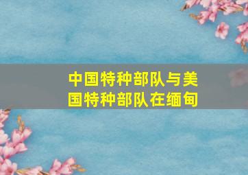 中国特种部队与美国特种部队在缅甸