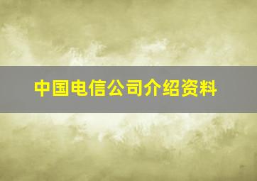 中国电信公司介绍资料