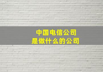 中国电信公司是做什么的公司