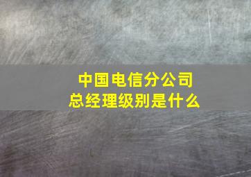 中国电信分公司总经理级别是什么