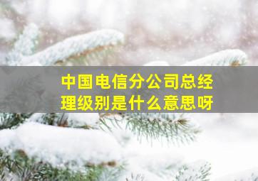 中国电信分公司总经理级别是什么意思呀