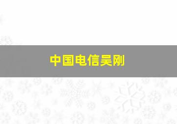 中国电信吴刚