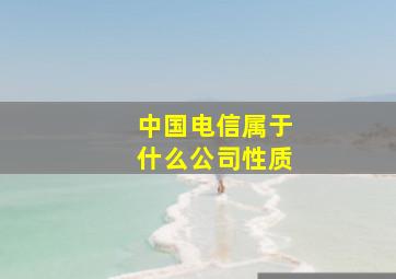 中国电信属于什么公司性质