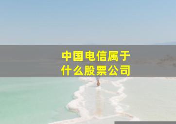 中国电信属于什么股票公司