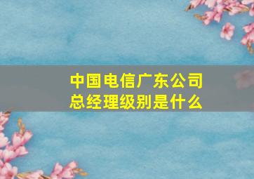 中国电信广东公司总经理级别是什么