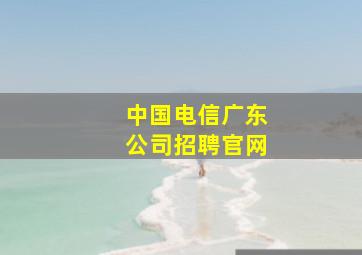 中国电信广东公司招聘官网