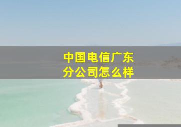 中国电信广东分公司怎么样