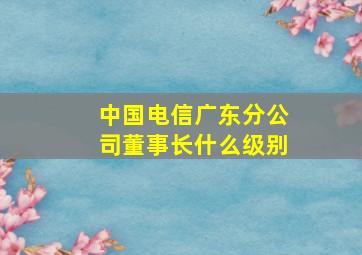 中国电信广东分公司董事长什么级别