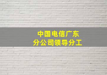 中国电信广东分公司领导分工