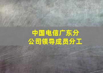 中国电信广东分公司领导成员分工