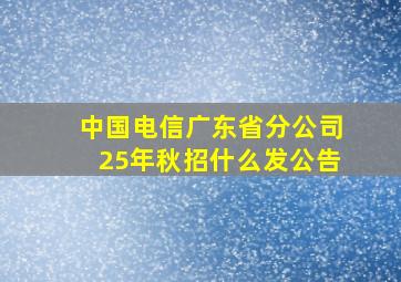 中国电信广东省分公司25年秋招什么发公告