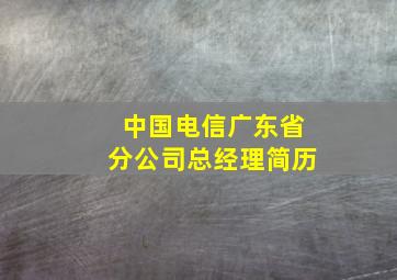 中国电信广东省分公司总经理简历