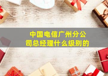 中国电信广州分公司总经理什么级别的