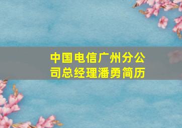 中国电信广州分公司总经理潘勇简历