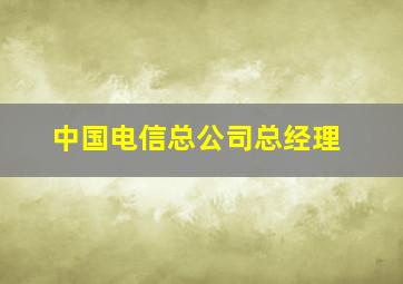 中国电信总公司总经理